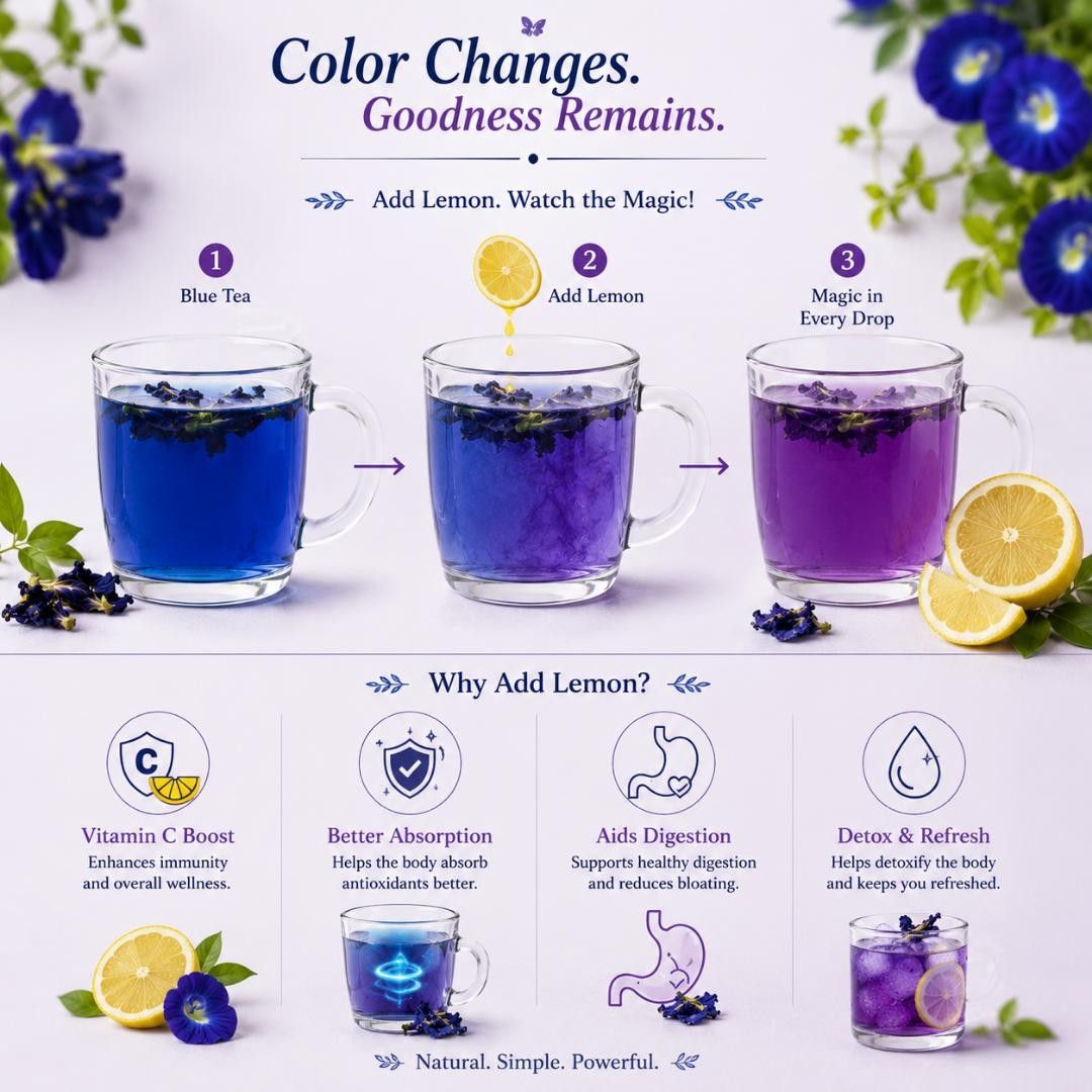 Lilac Sip Blue Pea Flower Tea | Butterfly Pea Tea